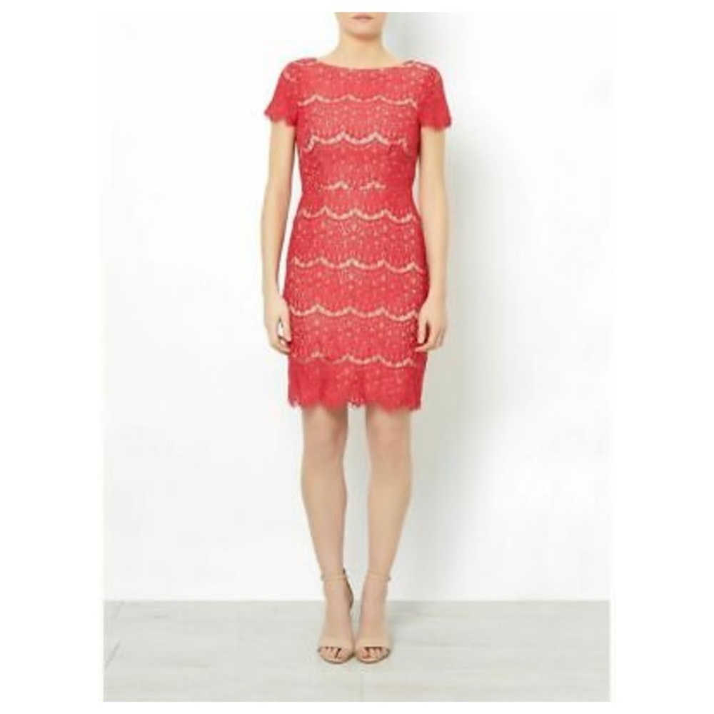 Holiday Red Candice Scallop Lace Dress size M